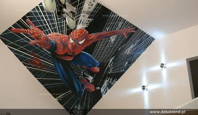 Artystyczne malowanie ścian